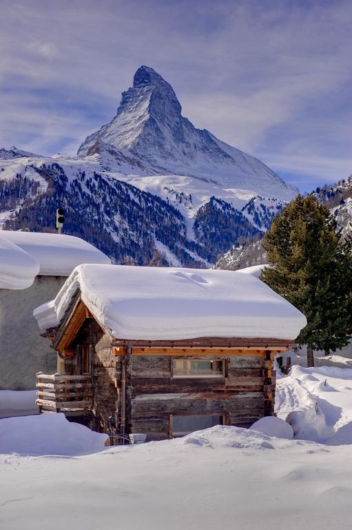 Chalet Alpoase Zermatt Oda fotoğraf